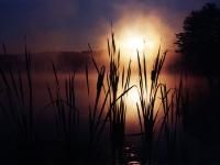 intrinsix calendar-july-pratt pond-pollak  Sunrise Over A Foggy Pratt Pond